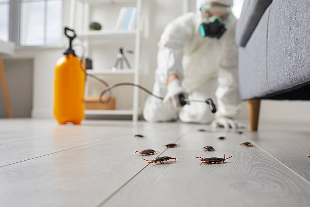 Commercial Kitchen Cockroach Control in New Carlisle